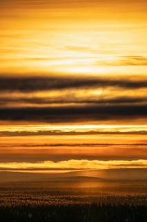 Backlight over vast forest area, Saariselkä, Lapland, Finland, January 2025