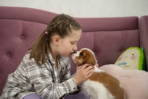 A young girl gently holds a puppy as they share a tender moment on a cozy couch at home. The warm