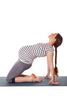 Pregnancy yoga exercise, pregnant woman doing yoga asana Ustrasana Camel Pose isolated on white