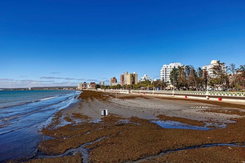 City view with a wide, exposed beach at low tide and a promenade in the background, the town of