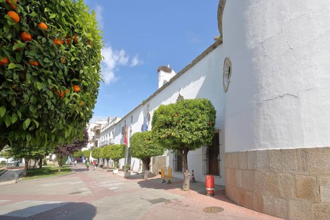 Orange tree with fruits and hotel building Parador, oranges, Plaza de la Constutucion, Merida,