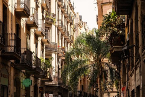 Alley in the historic centre of Barcelona, Spain