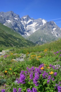 Pointe Piaget and La Meije seen from the botanical garden Jardin du Lautaret, Villar-d'Arêne,