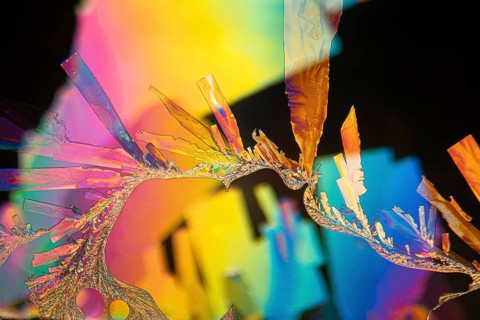 A striking microscopic image showcasing the intricate structures of Vitamin C crystals, highlighted