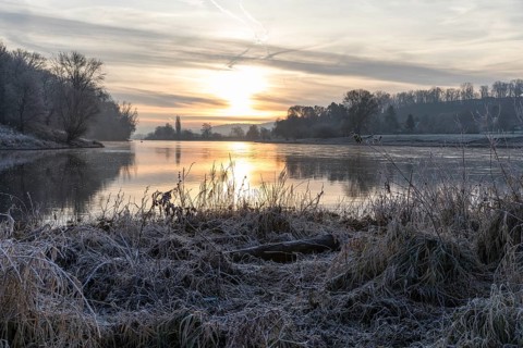 Wintery morning mood, Elbe meadows with hoarfrost, sunrise over the Elbe, Coswig, Saxony, Germany
