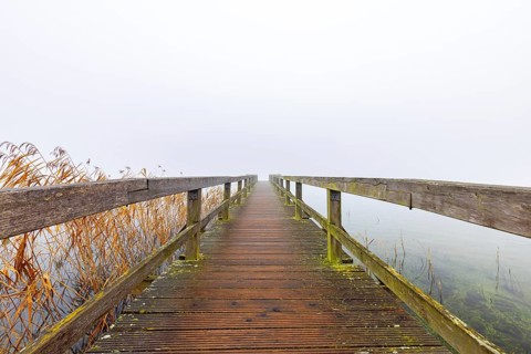 Wooden jetty at Lake Ratzeburg, Ratzeburger See in the mist, Lauenburg Lakes Nature Park, Naturpark