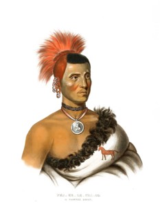 American Indian, Native American, Pes-Ke-Le-Cha-Co, Chief of the Pawnee tribe, United States of