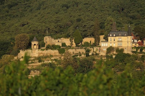 Winzingen Castle and Castle, Haardt, Neustadt an der Weinstraße, Palatinate Forest,