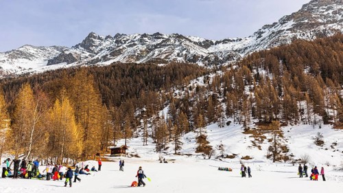 Children and young people having fun in the snow, Plat de la Lee, Zinal, Val d'Anniviers, Valais
