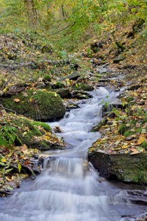 Klidinger Bach in autumn, Vulkaneifel, Rhineland-Palatinate, Germany