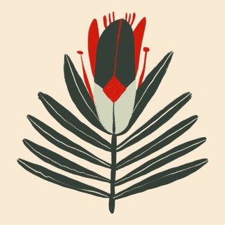 A uniquely stylized abstract floral illustration featuring bold red, green, and black colors on a
