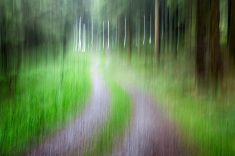 Atmospheric forest path, abstract structures, wiping effect, bulb exposure