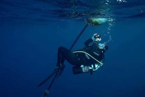 Diver photographs the growth of a buoy under the water surface, Giens Peninsula dive site,