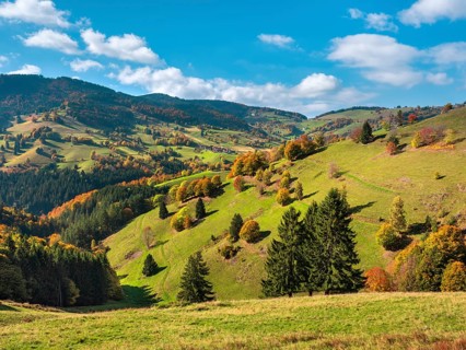 View of typical Black Forest landscape with steep meadows and forests near Wieden, trees in full