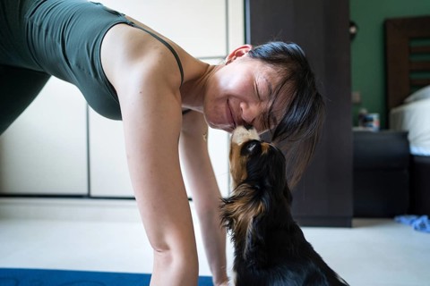 A young Asian woman attempts to exercise at home, but her playful dog interrupts her workout. This
