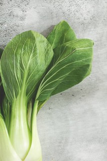 Fresh bok choy, close-up, on a light gray surface, top view, natural light
