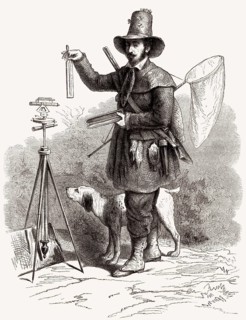 Alberto Ferrero La Marmora, 1789-1863, ein italienischer Soldat und Naturforscher