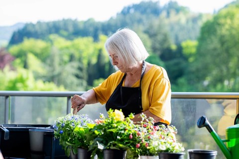 An elderly woman, enjoying gardening, tends to colorful flowers in pots on a bright, sunny balcony.