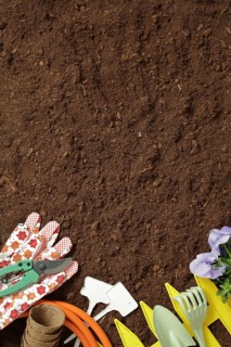 Rustic gardening scene with essential tools on rich soil. Features colorful gloves, pruning shears,