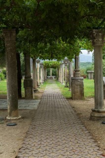 Shade garden with paving stone foot path and pergola covered with live plants and supported by old
