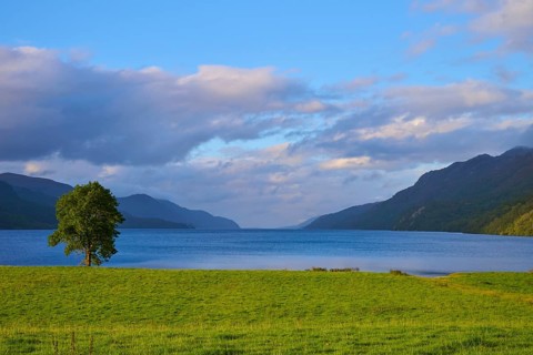 Idyllic lake with views of mountains surrounded by green fields and tree-covered landscape, Fort