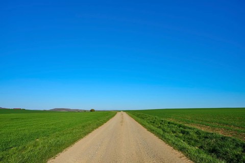 Straight dirt road between lush green areas and a light blue sky, Ergersheim, Neustadt an der