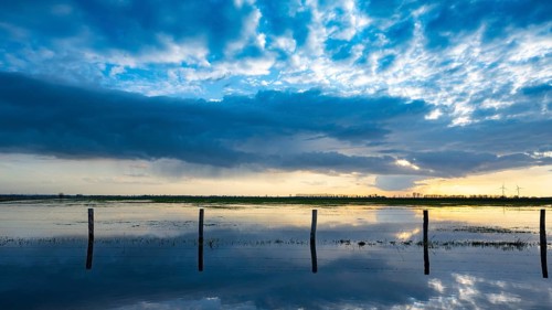 Evening sky is reflected in high water in Ochsenmoor am Dümmer, Ochsenmoor, Hüde, Lower Saxony,
