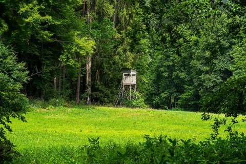 Hunters blind standing next to a forest on the edge of a meadow, Bavaria, Germany