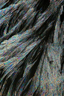 Microscopic view of Vitamin C crystals, presenting a spectacular array of iridescent blues, greens,