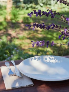 High angle of empty ceramic plate with flowering plant shade and fork knife on tissue paper served