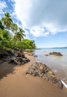 Tropical beach, South Pacific, Osa Peninsula, Punterenas Province, Costa Rica