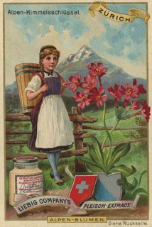 Picture series Alpine flowers, Alpine sky key in Zurich, Switzerland, Liebig picture, digitally