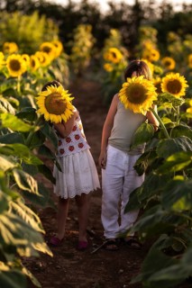 Two children playfully hide behind large sunflowers in a sunlit field. The bright blooms cover