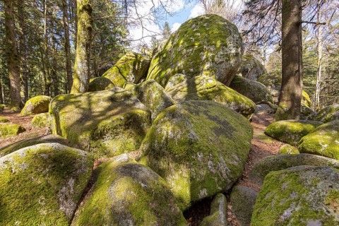 Granite rock Günterfelsen near the source of the Danube, Furtwangen in the Black Forest,