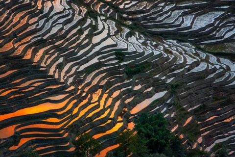 In Yuanyang County, in China's southwestern Yunnan province, the Hani rice terraces stretch across