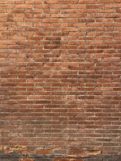 A textured red brick wall with a consistent horizontal pattern. The bricks are evenly laid,