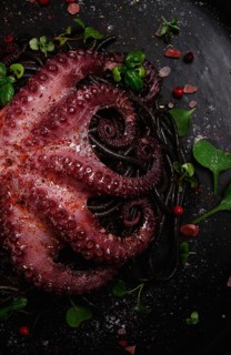 Octopus with black spaghetti, pasta, spices and herbs, top view, no people