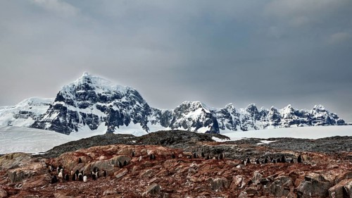 Snowy mountains over a rocky landscape with penguins below on the horizon, The coast and landscape