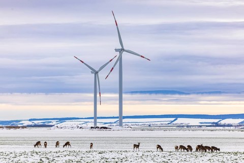 Wind farm and a jump of deer in snowy landscape, Söllingen, Lower Saxony, Germany