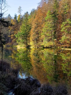 Autumn atmosphere at Hechtsee lake near Kufstein, Tyrol, Austria