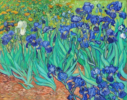 Irises (1889), Irises (1889), Painting by Vincent Willem van Gogh (born 30 March 1853 in