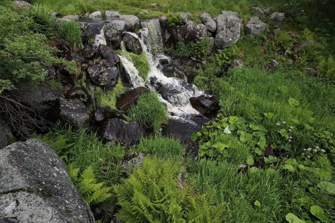 Aschelbach Falls, nature photography, UNESCO, biosphere reserve, Lange Rhön, Bavaria, Germany
