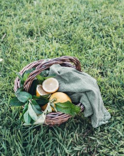 A wicker basket filled with fresh lemons sits elegantly on a bed of lush green grass. This vibrant