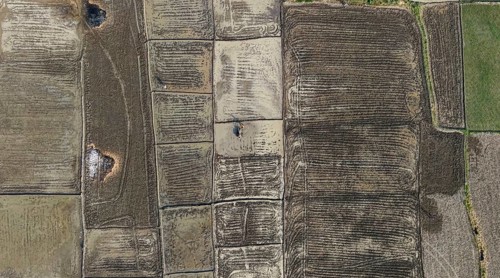 In an aerial view, a farmer ploughs a rice paddy field with a power tiller on February 16, 2026 in