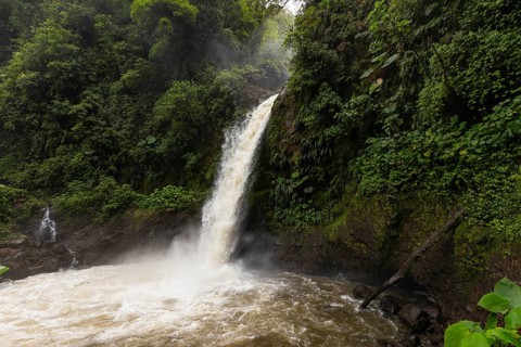 Catarata de la Paz waterfall, Costa Rica, flowing with massive volume after heavy rainfall.