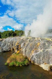 Geysers erupting, Te Puia Thermal Valley, Rotorua, Bay of Plenty, North Island, New Zealand