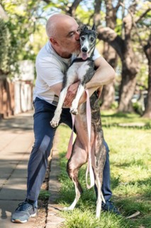Vertical portrait of a middle-aged bald man kissing his rescued greyhound pet, enjoying a sunny day
