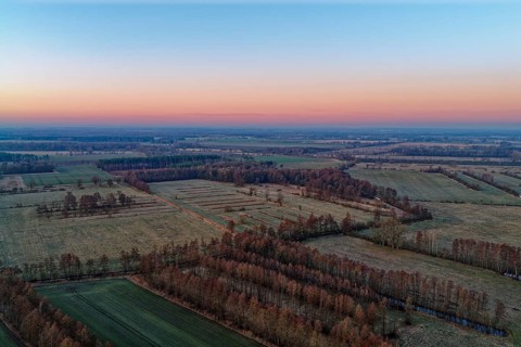 Landscape in the Drömling UNESCO Biosphere Reserve in the Altmark at dawn on a cold spring day.