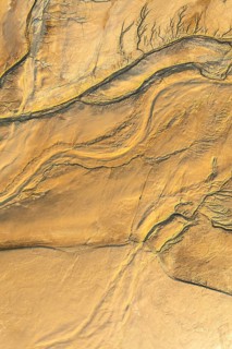 A detailed fractal mud texture featuring intricate, organic patterns and earthy tones, capturing