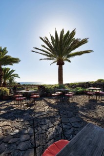 Terrace with empty tables, café overlooking the sea, palm trees against the light, Jameos del Agua,